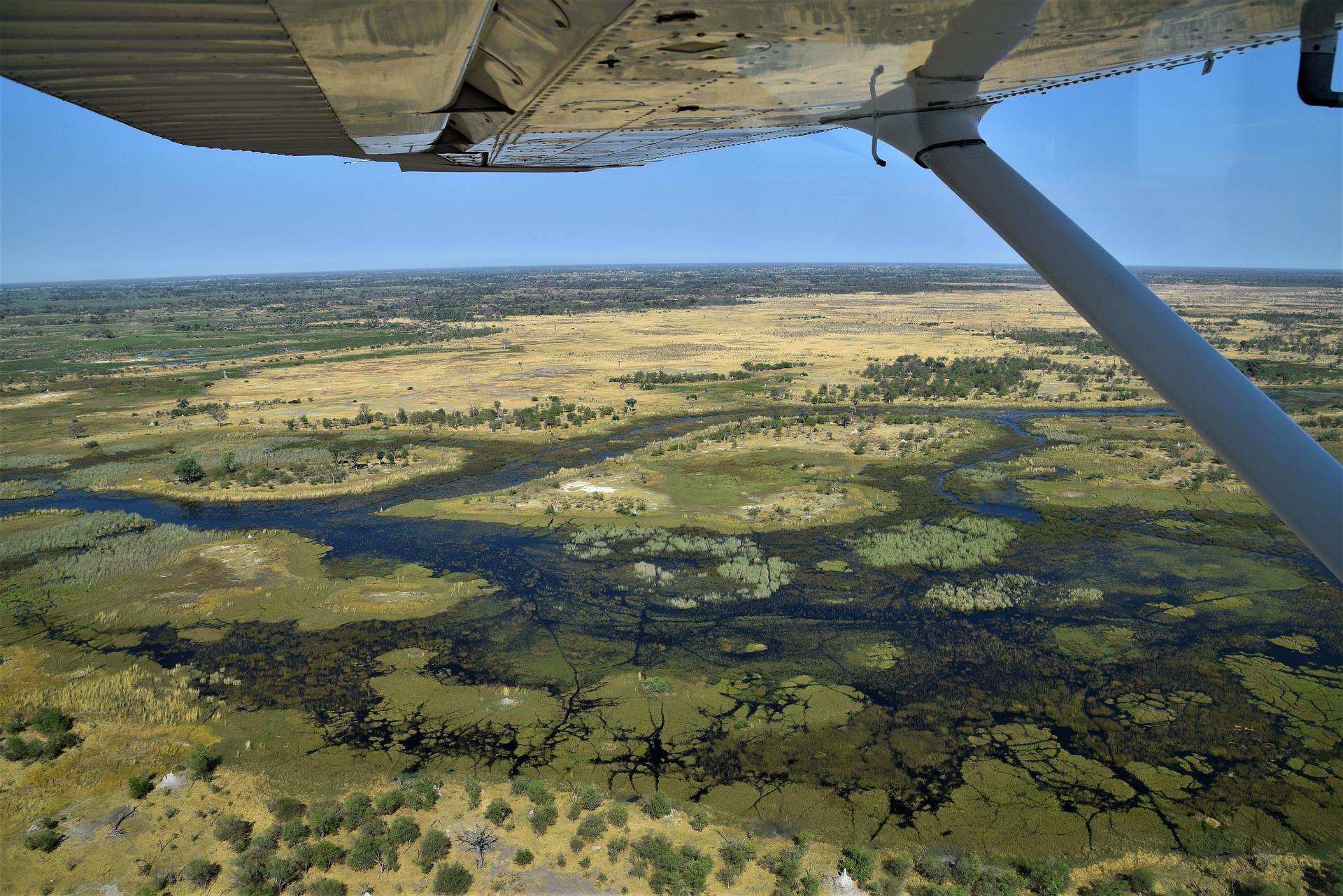 Das Okavango Delta aus dem Flugzeug fotografiert. Man sieht einen Teil der Tragfläche blauen Himmel und darunter grüne und gelbe Wiesen sowie einen Fluss.