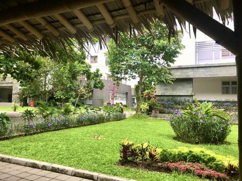 Ein kleiner Garten mit Blumen zwischen zwei Gebäuden auf dem Campus der Gadjah Mada University.