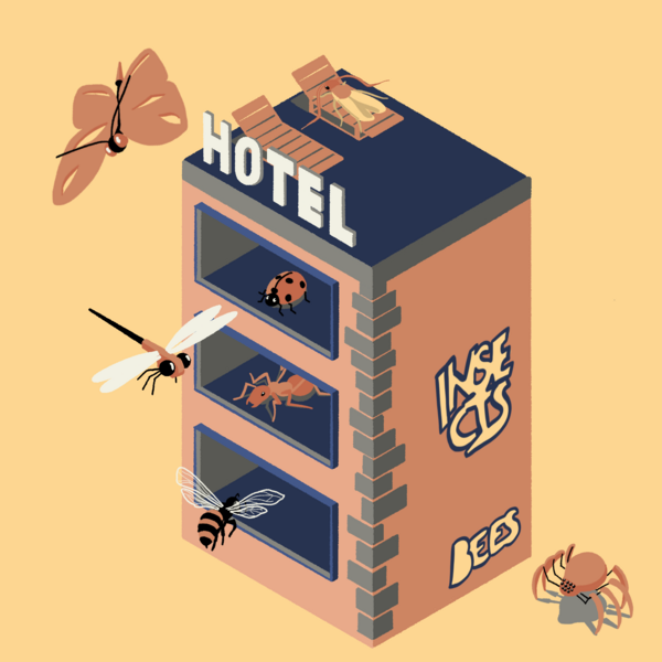 Darstellung eines Bienenhotels
