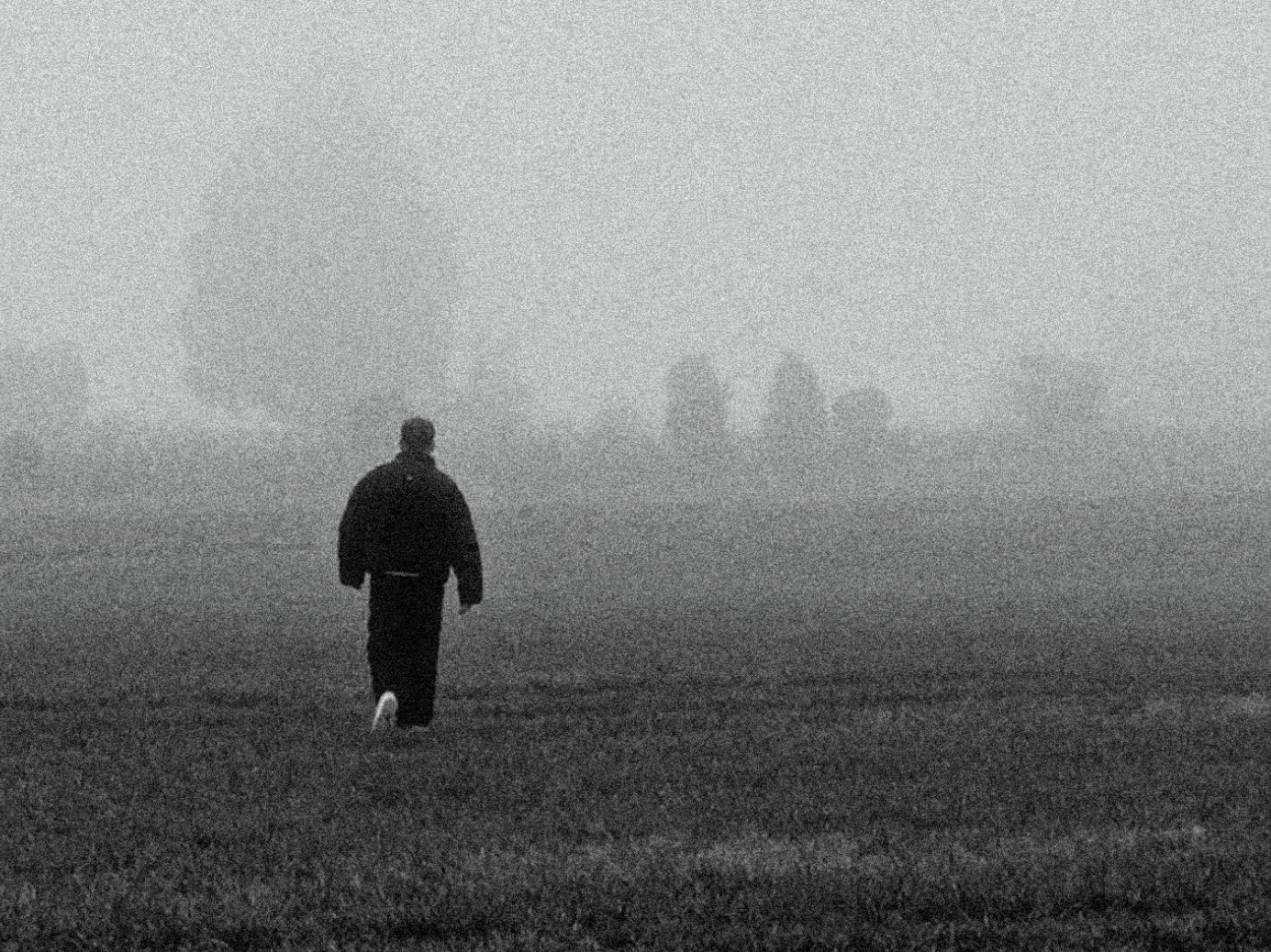 Die Fotografie zeigt den Autor von hinten, wie er durch eine neblige Landschaft weggeht