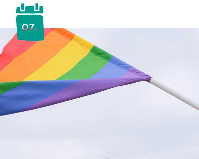 Das Bild zeigt eine wehende Regenbogenflagge.