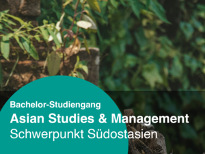 Bachelor-Studiengang Asian Studies & Management, Schwerpunkt Südostasien