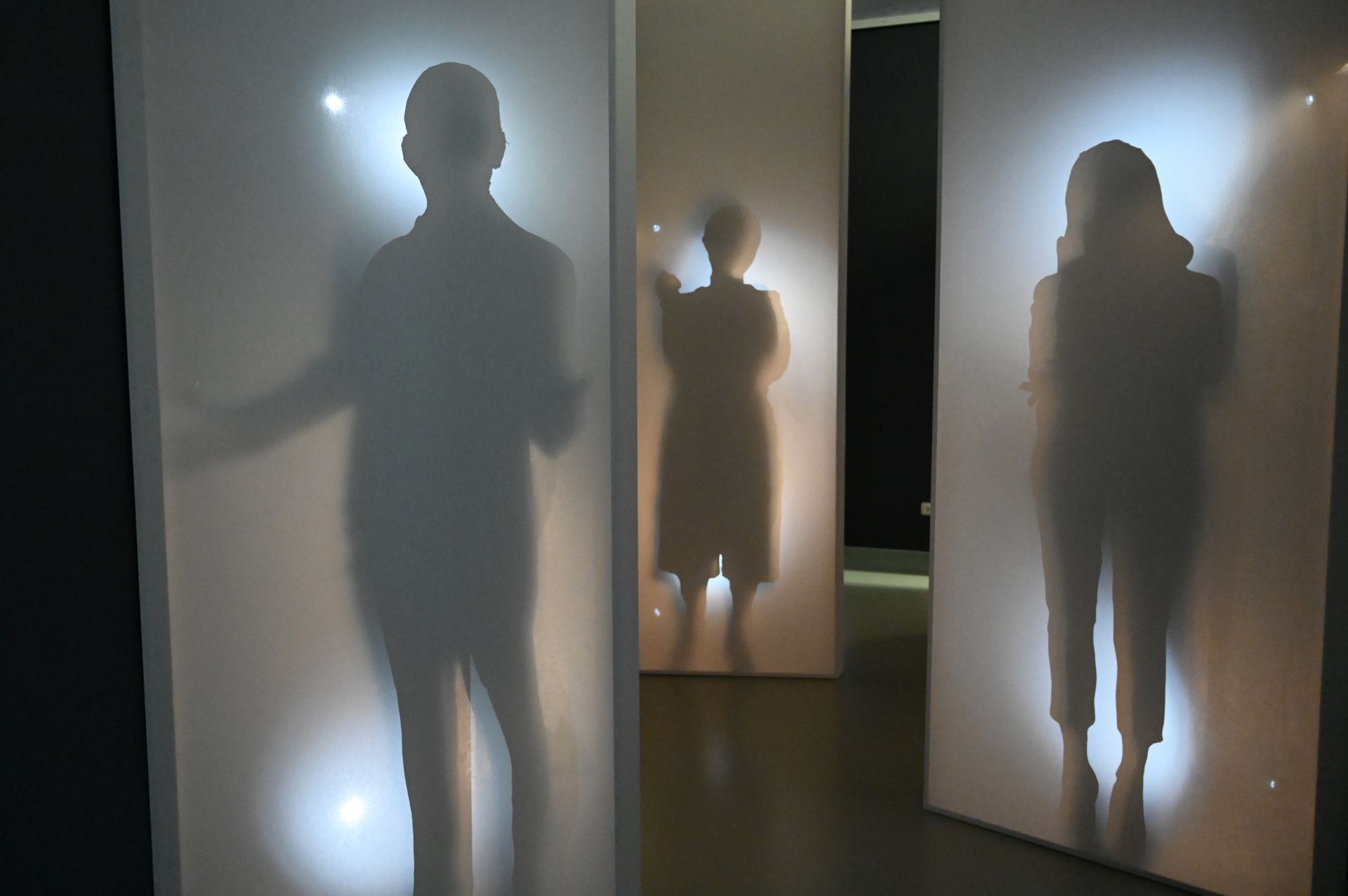 Fotografie von Schattenrissen unterschiedlicher Personen