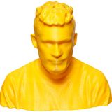 3d-gedruckte Büste von Fabian Zwesper
