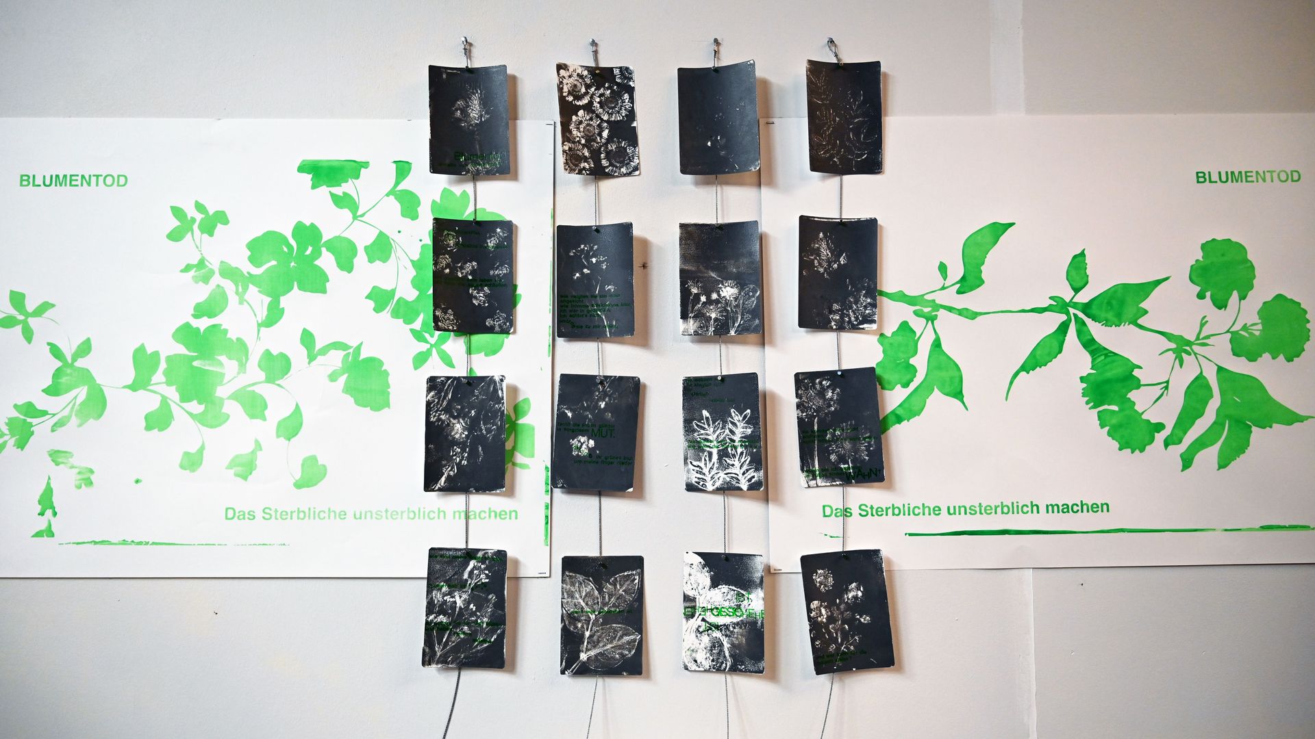 Pflanzenfotografie schwarz-weiß; mehrere Bilder