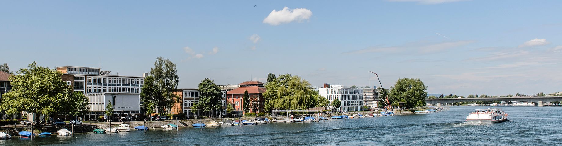 Campus and river Rhine