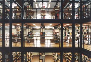 In Regalen sind viele Bücher 