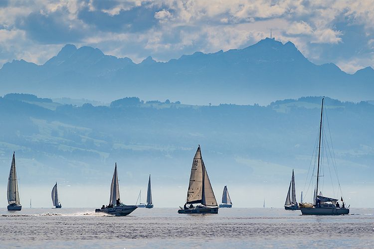 Blick auf den Bodensee, im Vordergrund sind Segelboote zu sehen, im Hintergrund Hügel und Berge.