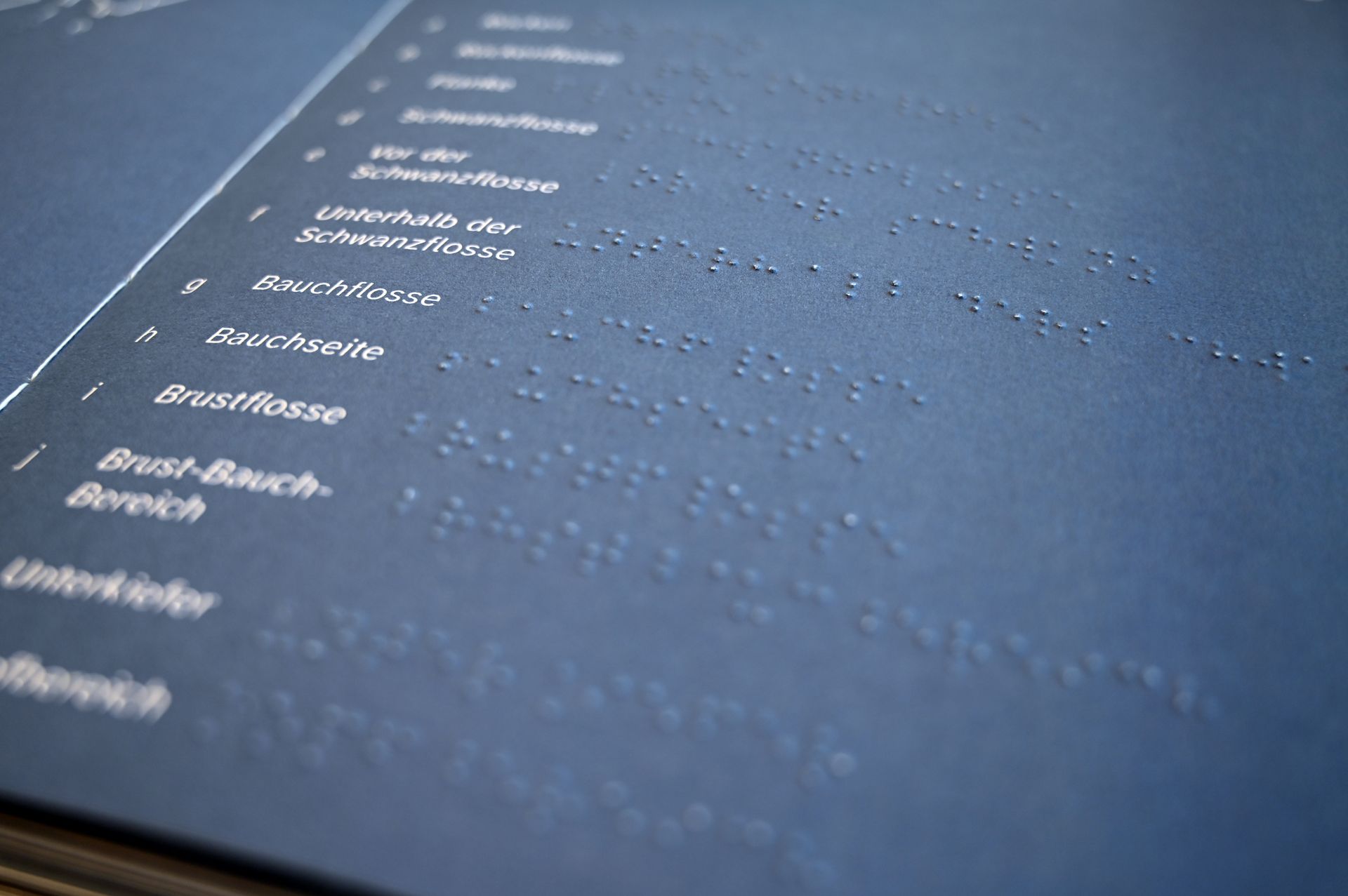 Inhaltsverzeichnis in normaler Schrift und Braille-Schrift