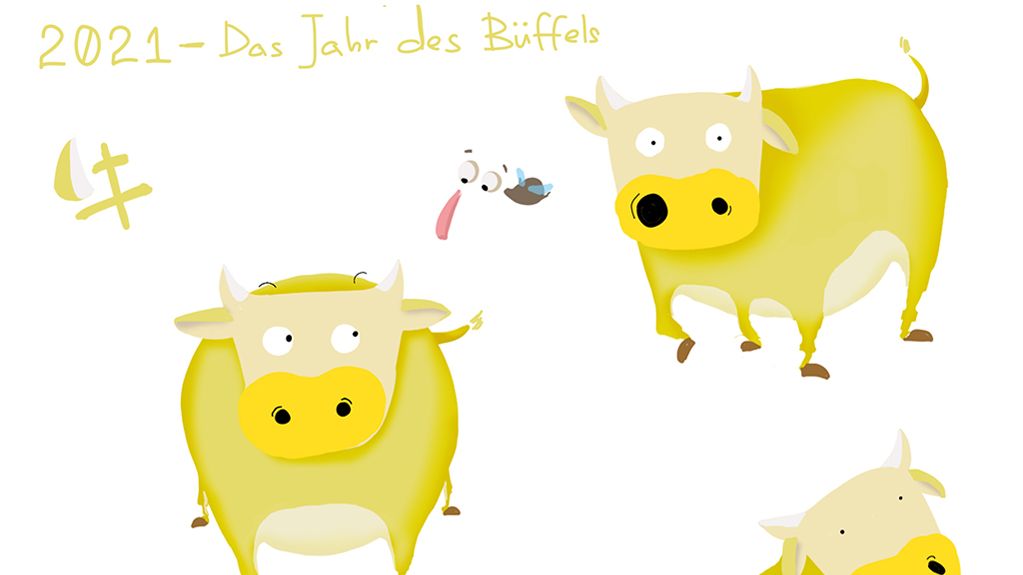 Beispielfoto Projekt »Character Design«. Illustrationen einer Kuh.