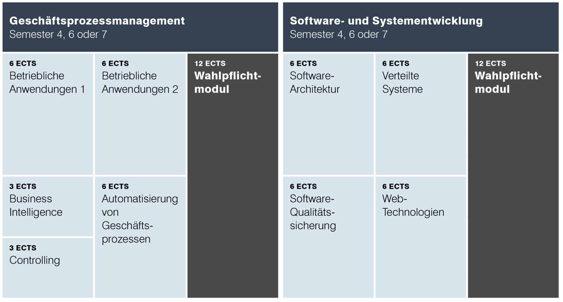 Vertiefungsrichtungen Bachelor Wirtschaftsinformatik Studium HTWG Konstanz