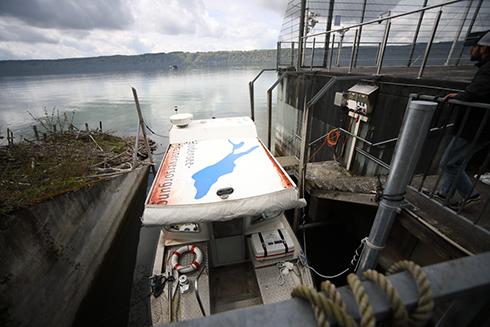 Muscheln am Boot