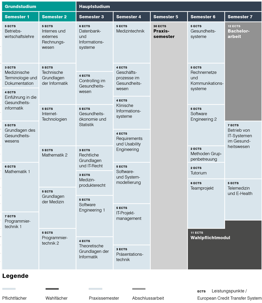 Bachelor Gesundheitsinformatik Studienablauf