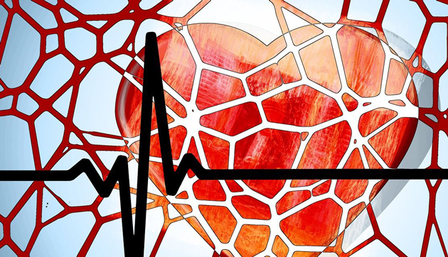 Eine schwarze EKG-Kurve liegt über der Illustration eines roten Herzens.