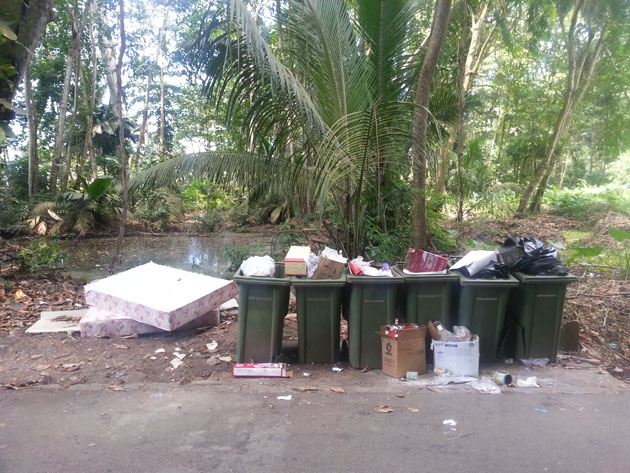 Sechs überfüllte Mülltonnen stehen auf einer unbefestigten Straße vor Palmengewächs. Daneben liegt weiterer Müll.