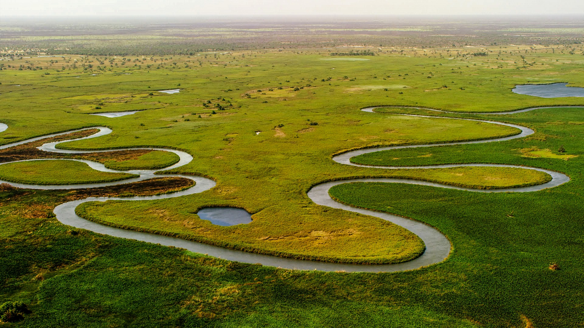Das Okavango Delta aus der Vogelperspektive. Man sieht grüne Wiesen und vereinzelt niedrige Büsche. Im Vordergrund schlängelt sich ein Fluss durch die Landschaft.