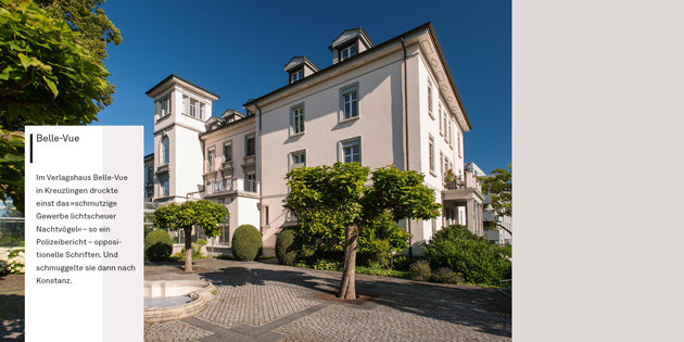 Das Bild zeigt die Villa Belle-Vue in Kreuzlingen.