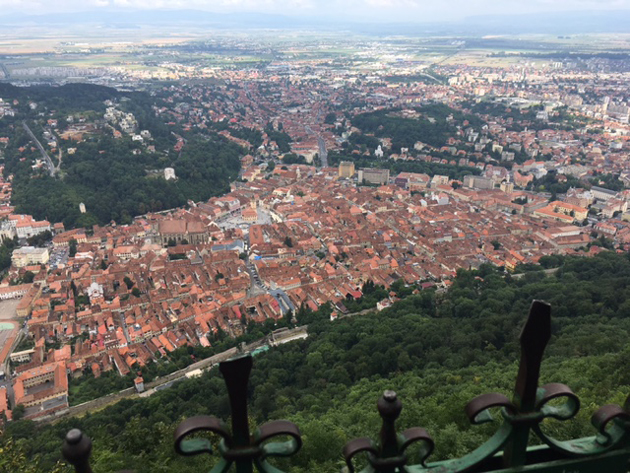 Blick von einem bewaldeten Berg herunter auf die Dächer einer historischen Altstadt.