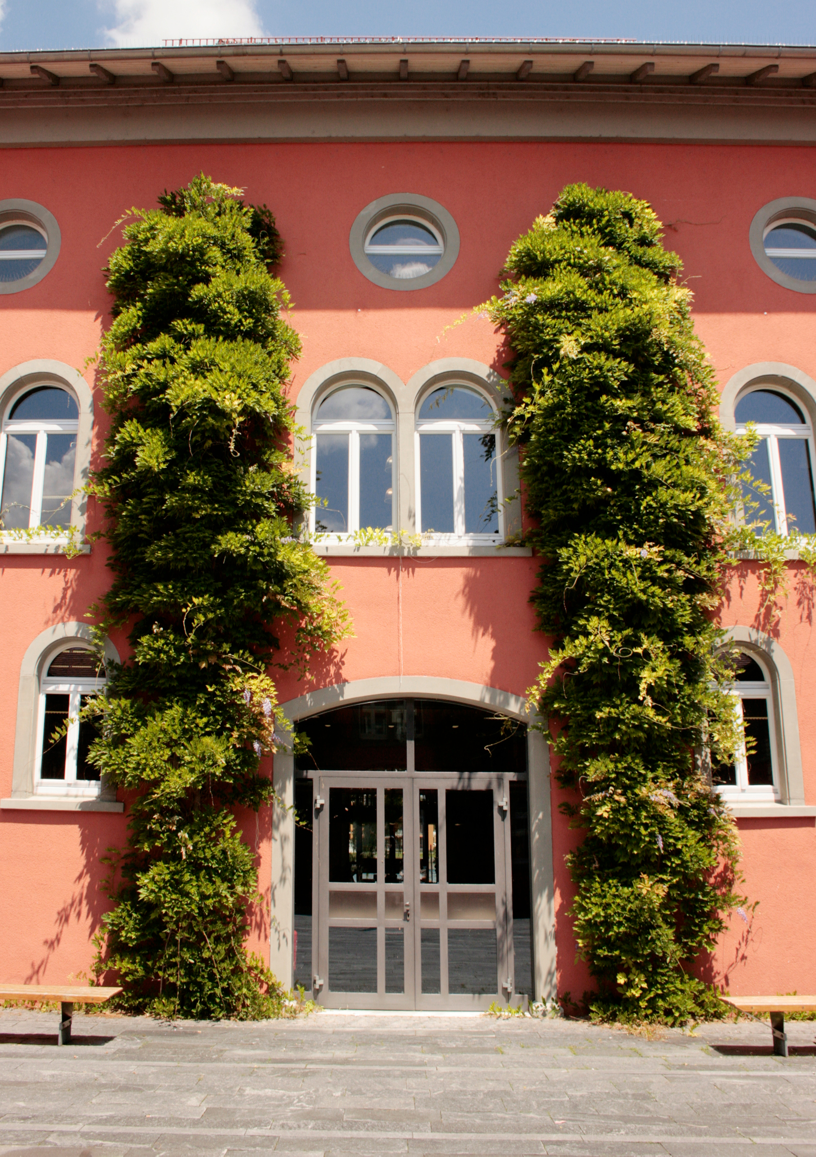 Rote Fassade der Bibliothek mit Eingastür, um die eine Glyzinie nach oben rankt.