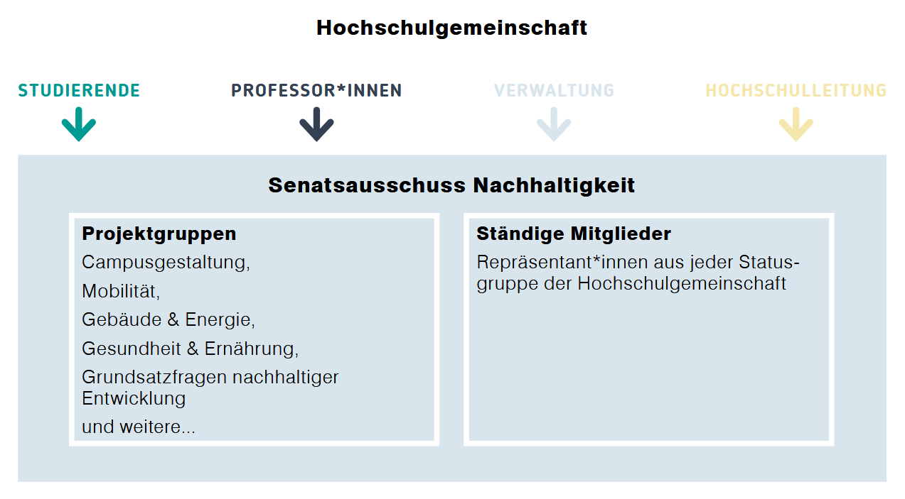 Grafik zur Hochschulstruktur im Bereich Nachhaltigkeit. Im Zentrum steht der Senatsausschuss Nachhaltigkeit. Einerseits gehören Projektgruppen zu Themen wie Mobilität, Gebäude und Energie, Campusgestaltung und weitere dazu. Andererseits zählen ständige Mitglieder und Vertreterinnen aller Statusgruppen der Hochschule zum Ausschuss. Sowohl die Projektgruppen als auch die ständigen Mitglieder setzen sich aus Studierenden, Professorinnen, Verwaltungsmitarbeitenden und der Hochschulleitung zusammen.